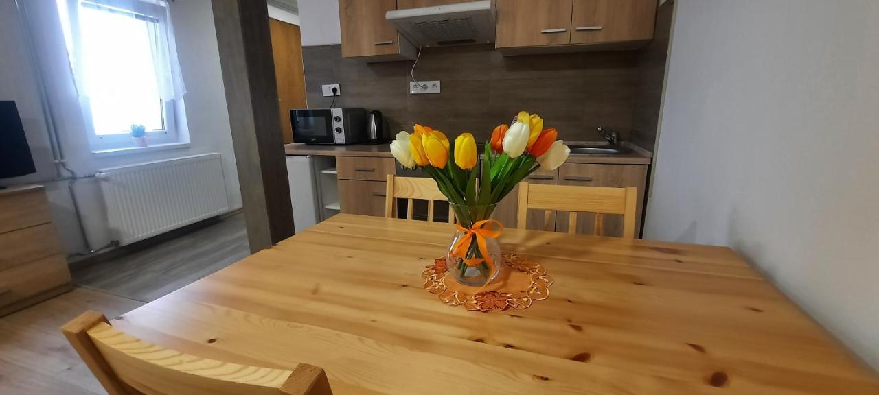 Vejminek Pod Smrkem Apartament